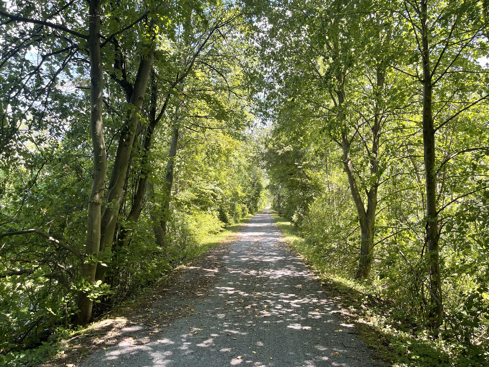Day 42: Bicycling Across America – Mohawk / Cooperstown, NY | Mountain-Boy